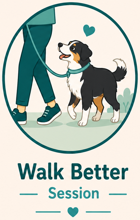 🐾 Walk Better Session