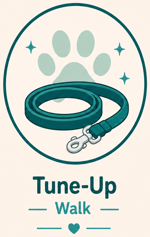 🐶 Tune-Up Walk