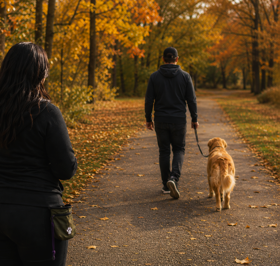 observing loose leash handling skills