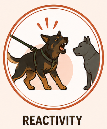 Illustration of two dogs reacting to each other, with one barking and the other looking calm, symbolizing reactivity.