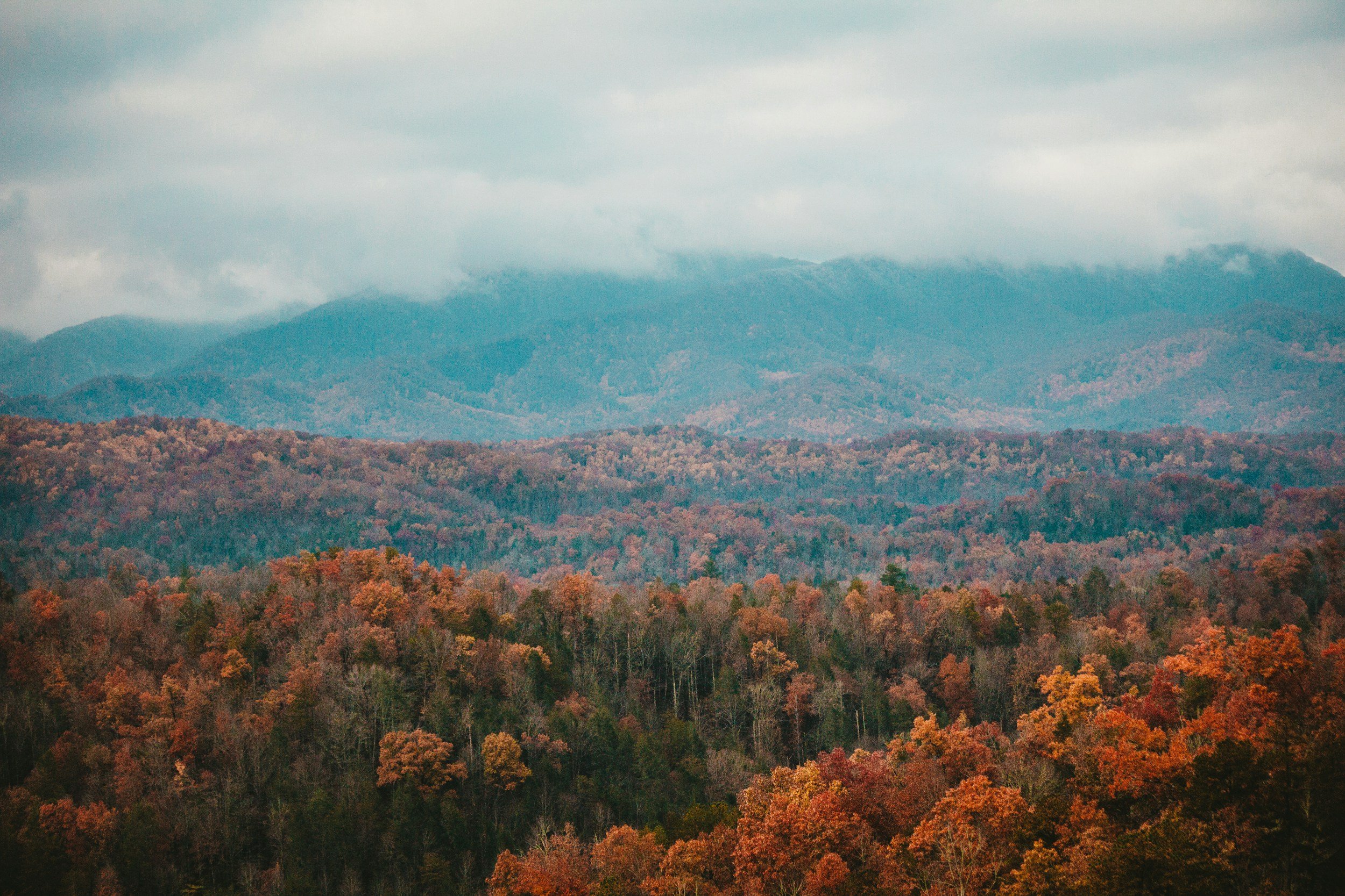 blue ridge mountains in the fall