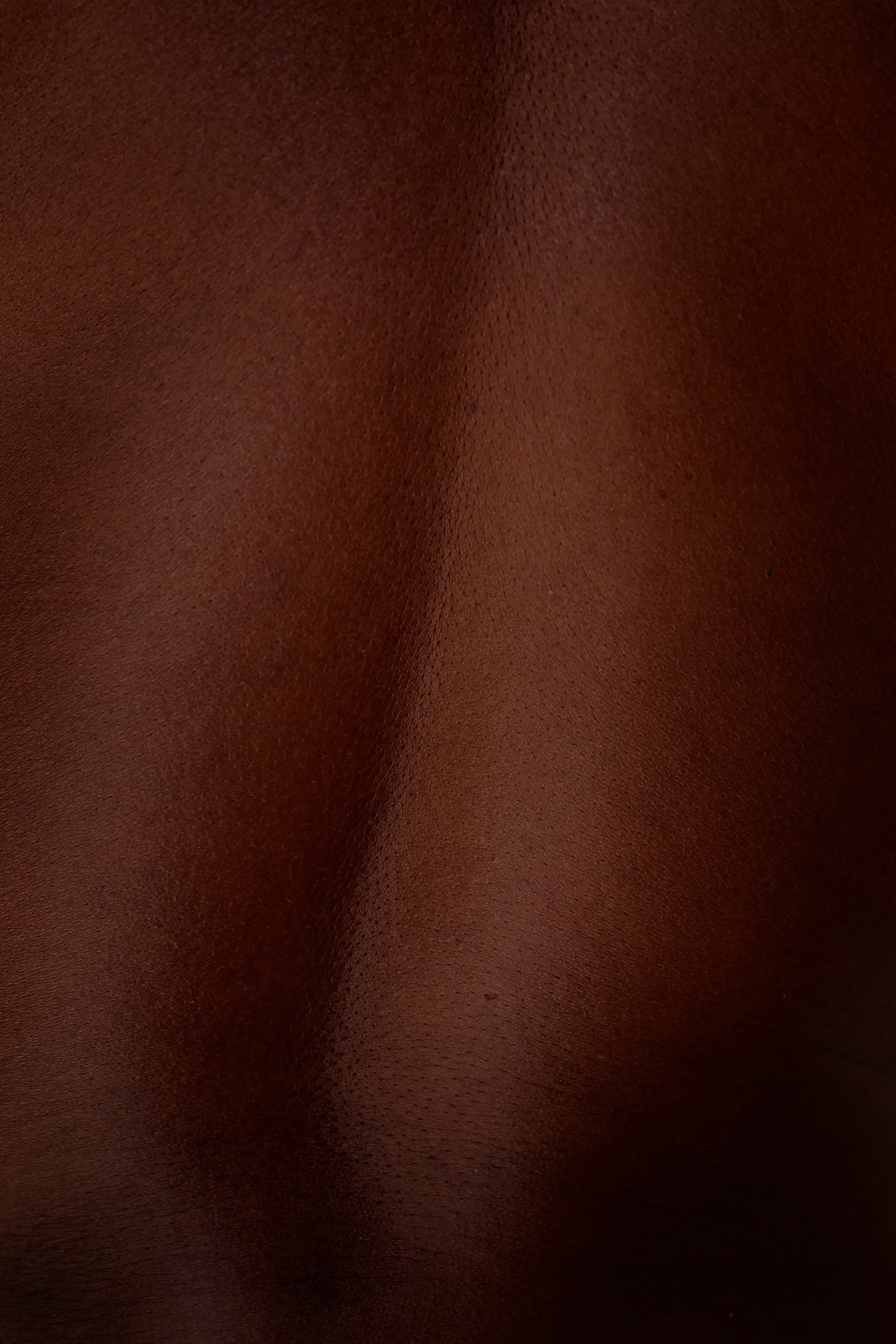 close-up of brown horse skin texture