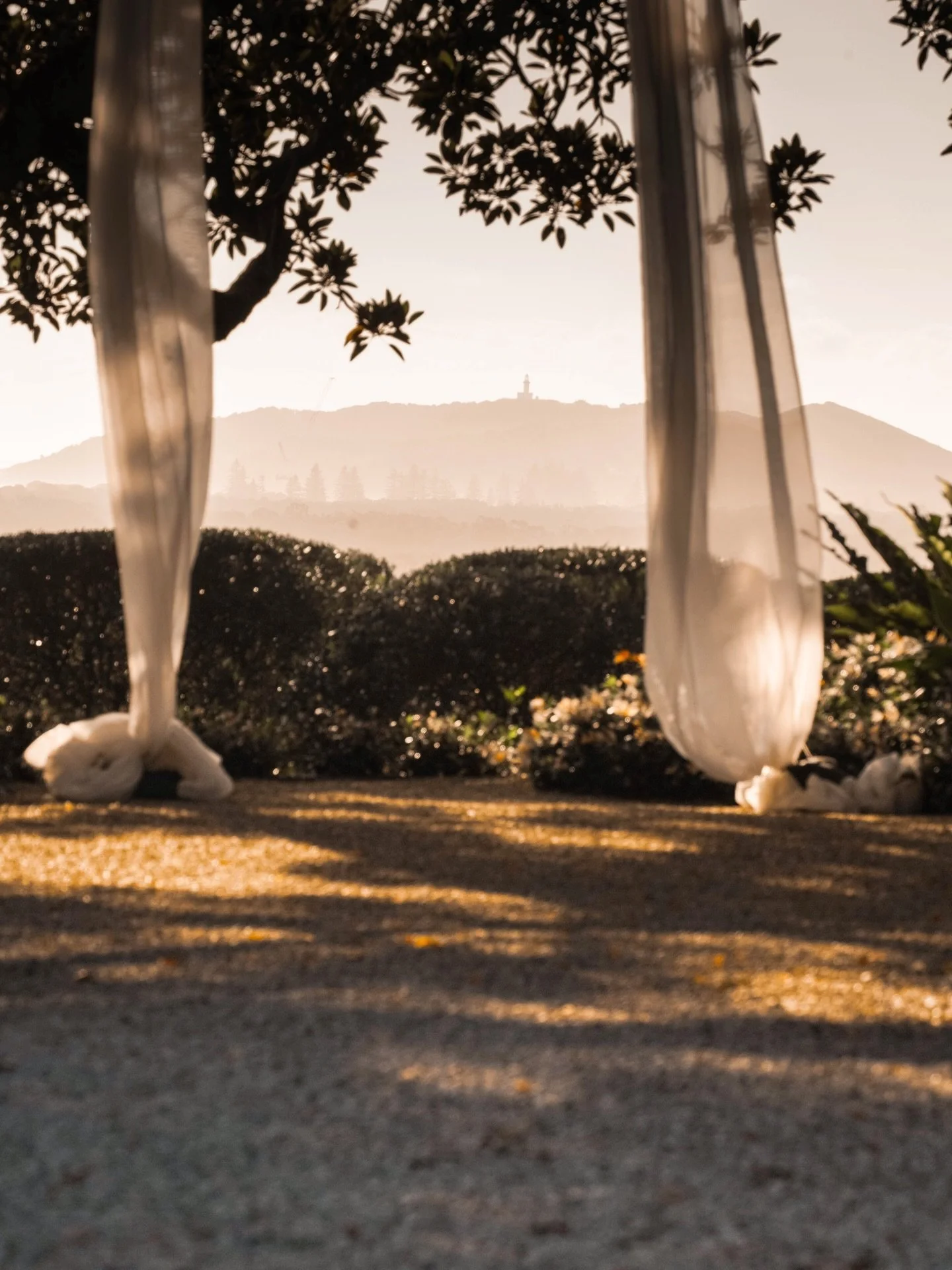 Fig Tree Restaurant &amp; Wedding Venue &mdash; thoughtfully designed and elegant from every angle. 
Che and the team have absolutely nailed the vision here.

A genuine pleasure to contribute to a space like this.

Michal has a real way of finding th