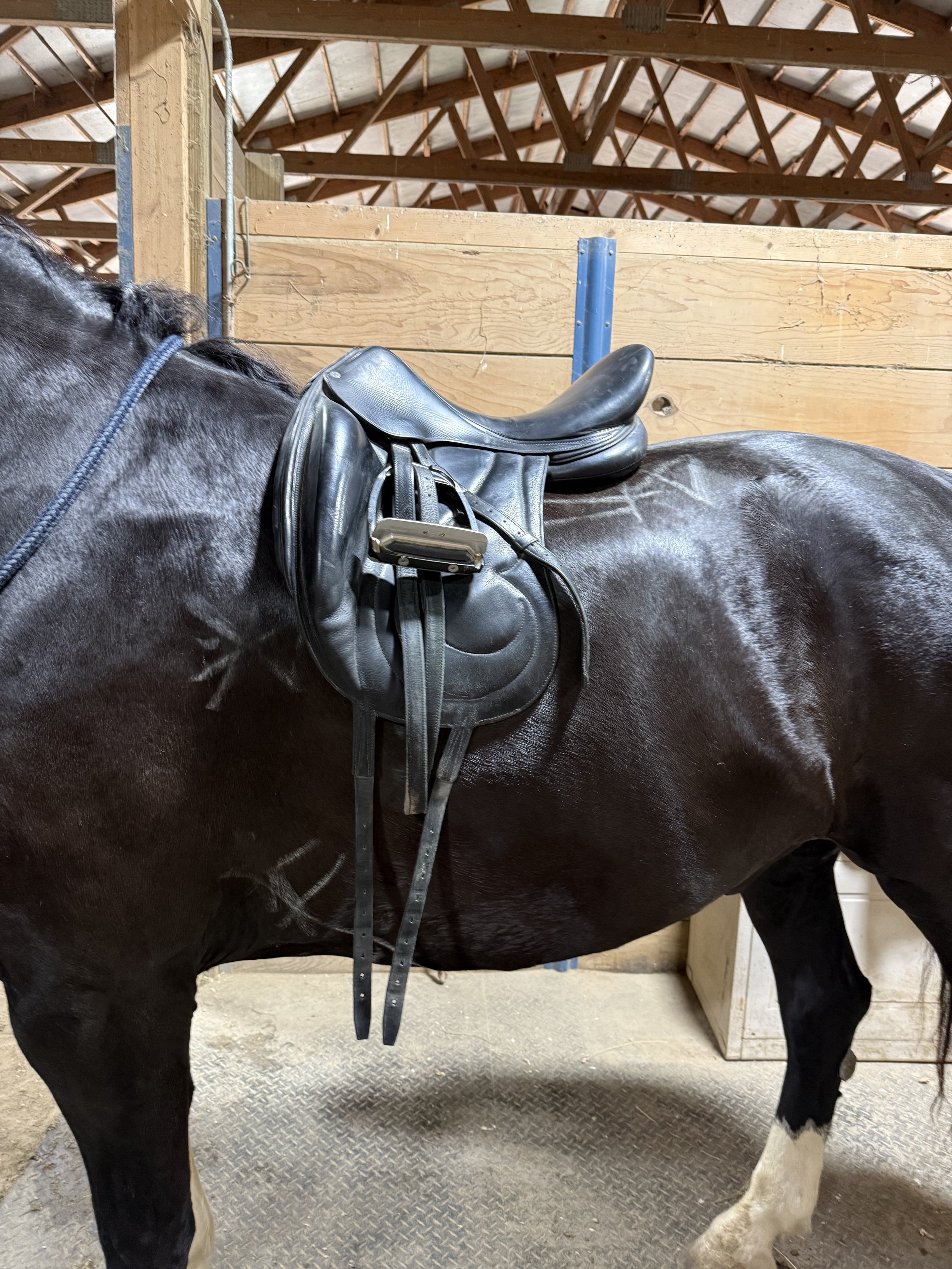 Book Your Next Saddle Fit Session