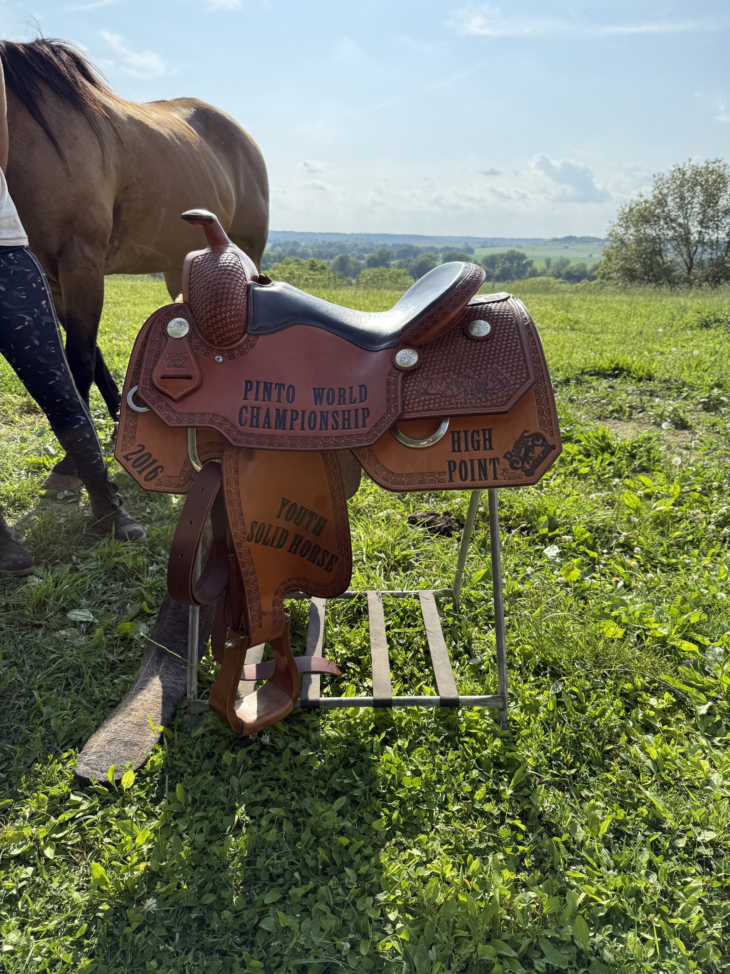 Why Regular Saddle Fit Checks Are Essential for Your Horse’s Health