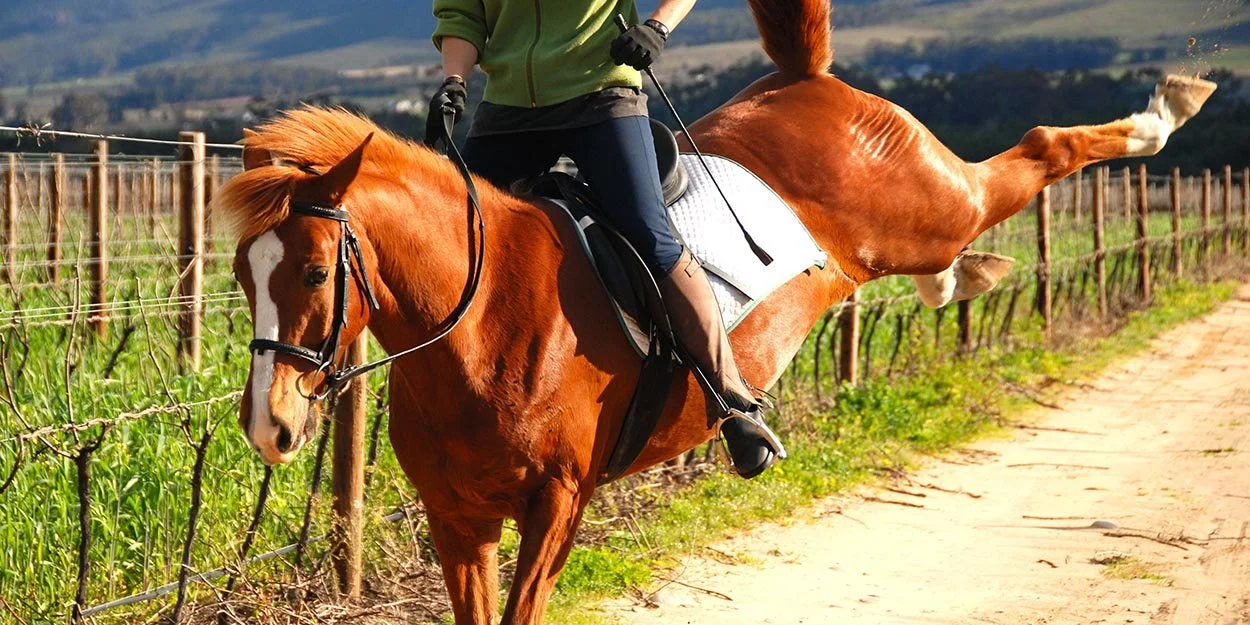How to Recognize the Signs of Poor Saddle Fitting