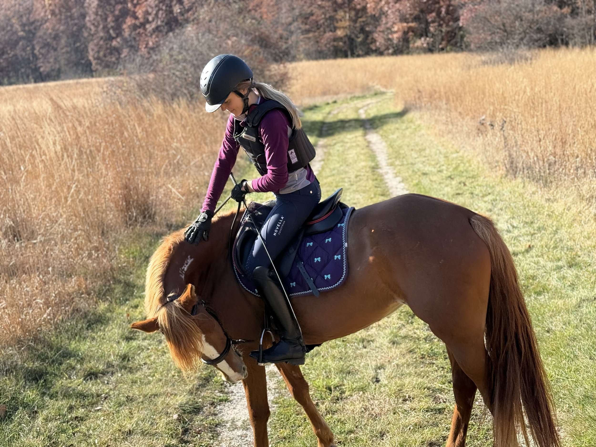 Young Horse, Changing Body: When to Start Saddle Fitting and How Often After That