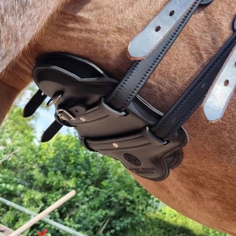 The WOW FreeSpace Girth: What It Is, How It Works, and Why More Riders Are Trying One