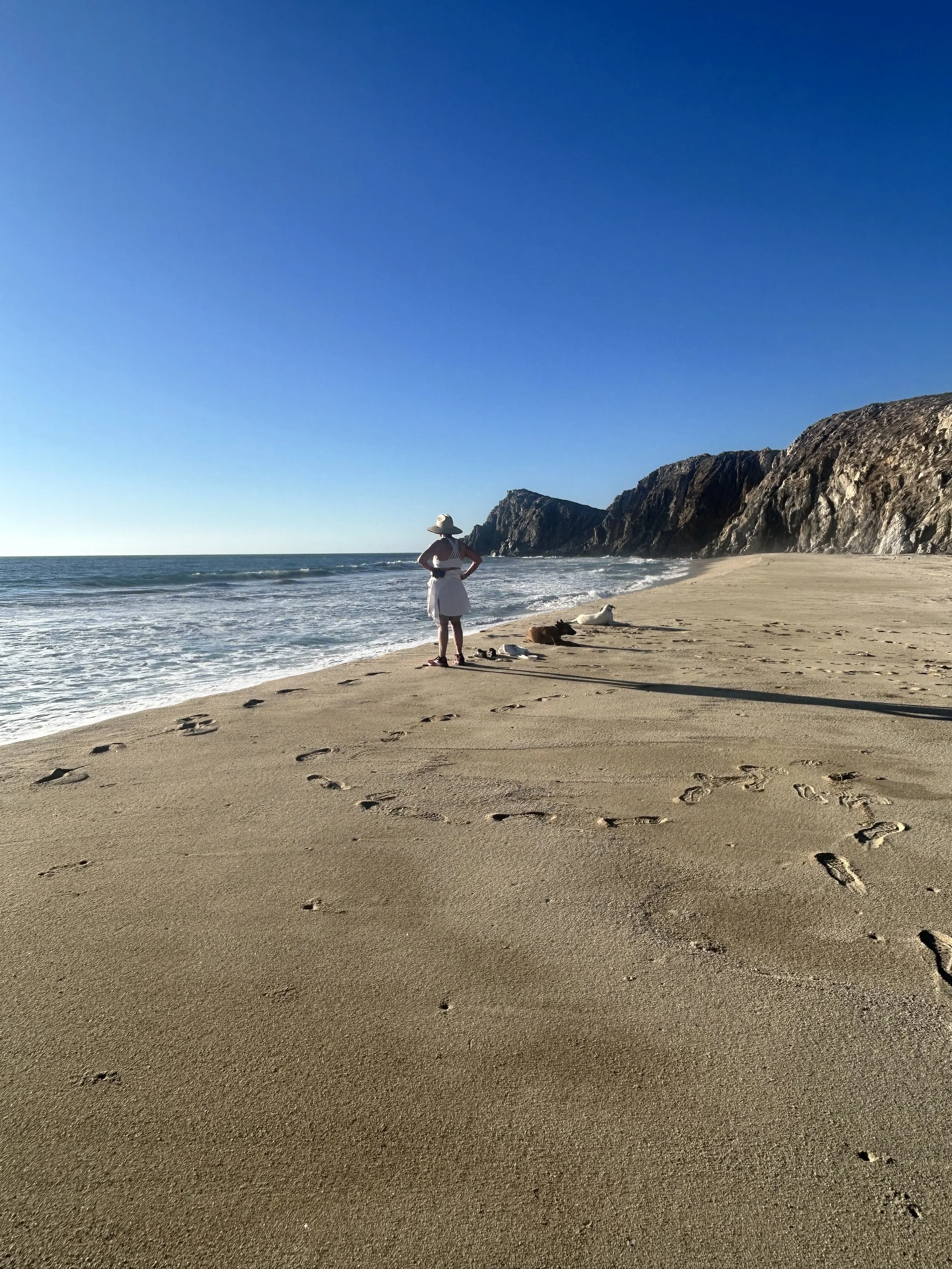 PR 2026 south beach contemplation.jpeg