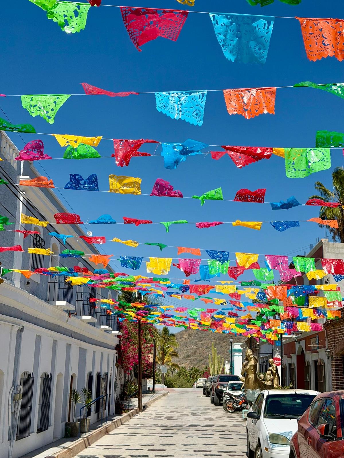 PR 2026 flag street.jpg