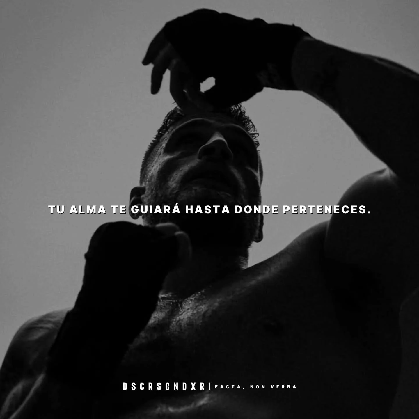 Tu alma ya sabe el camino.

El problema es que llevas a&ntilde;os escuchando a todo el mundo menos a ella.

A los que dicen que es demasiado. A los que dicen que no es el momento. A la voz de dentro que te pide seguridad cuando lo que necesitas es di