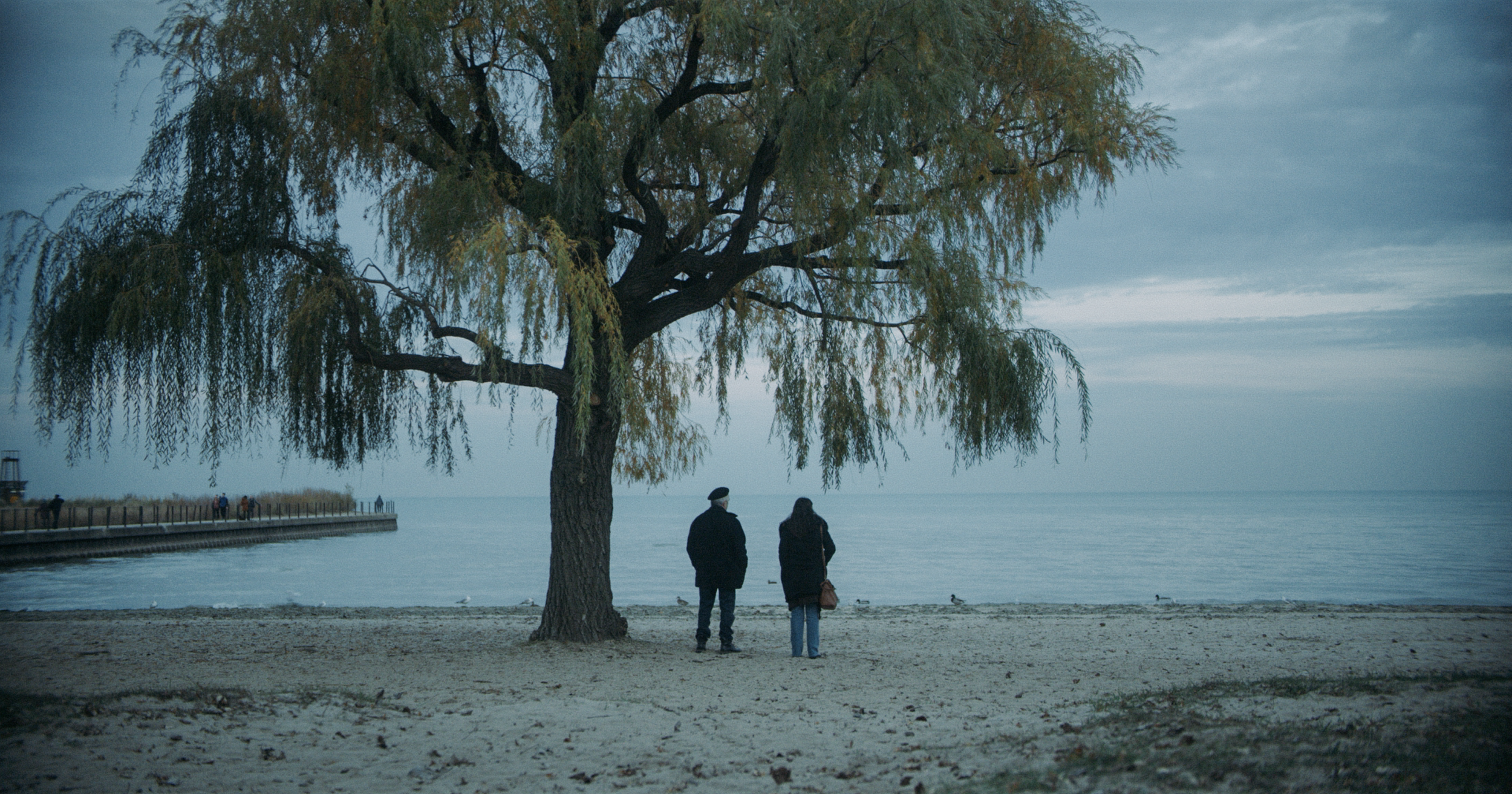 Screenshot 2025-07-21 at 00.41.48.png