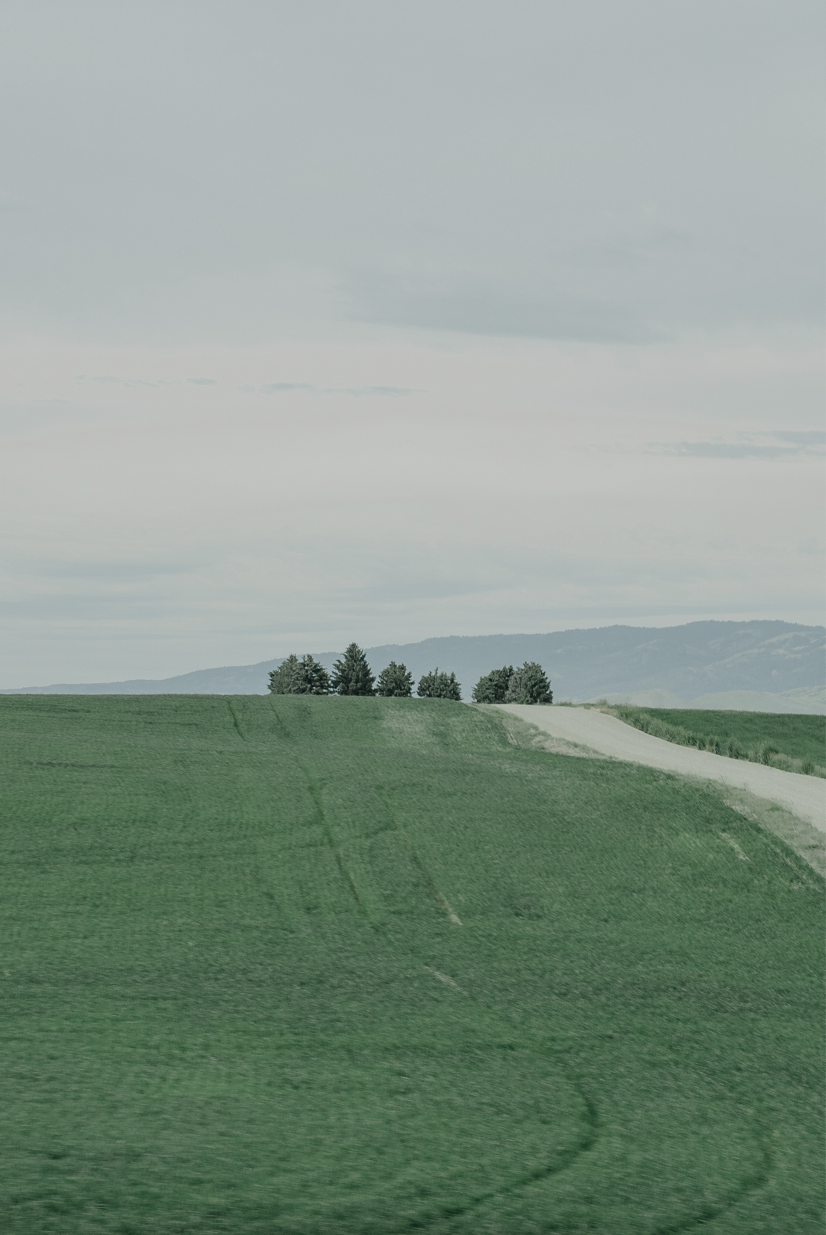 Screenshot 2025-05-27 at 17.47.38.png