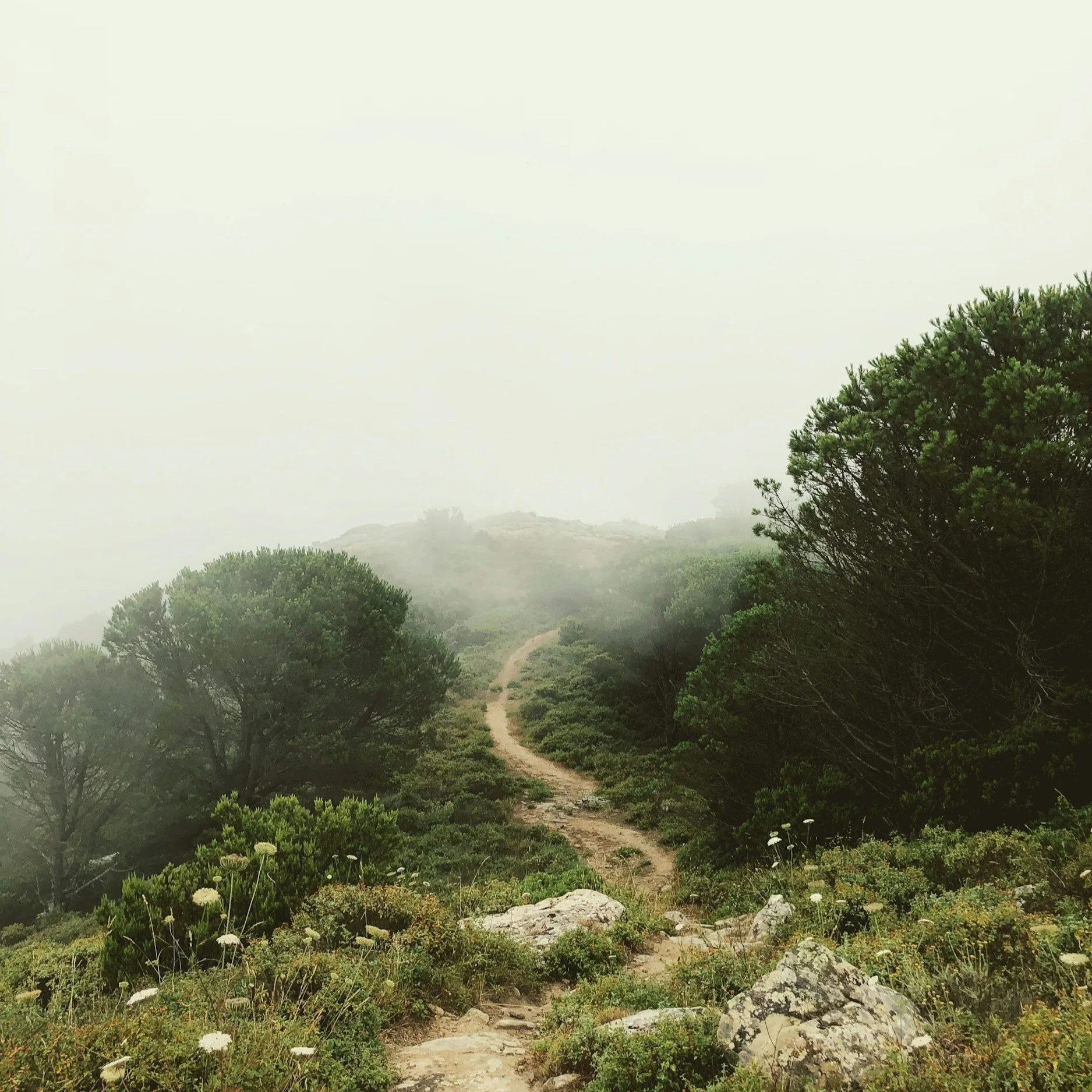 Feeling Lost About the Future: How to Find Direction When You’re Unsure Where to Go Next