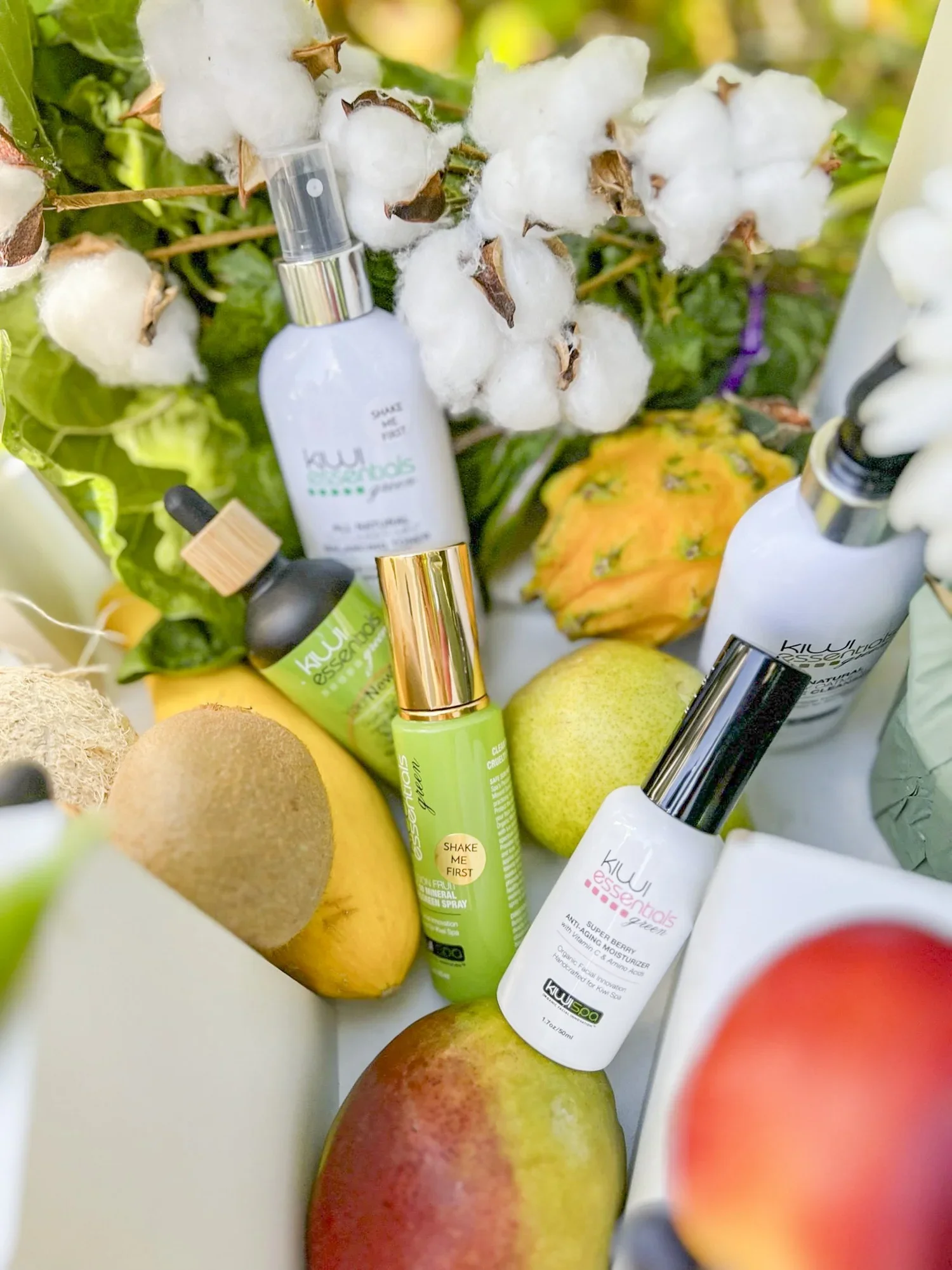 Looking for a Vegan Spa in San Diego? Enjoy a Thoughtful and Luxurious Skincare Experience at Kiwi Spa