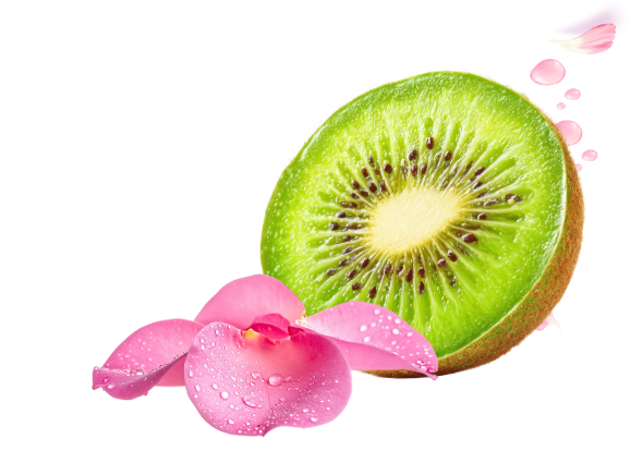 Kiwi Spa accent icon 4
