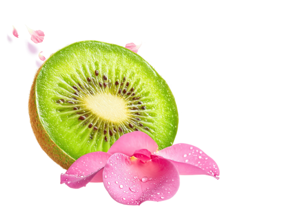 Kiwi Spa accent icon 3