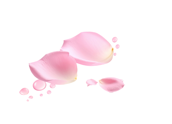 Kiwi spa glow results petals icon