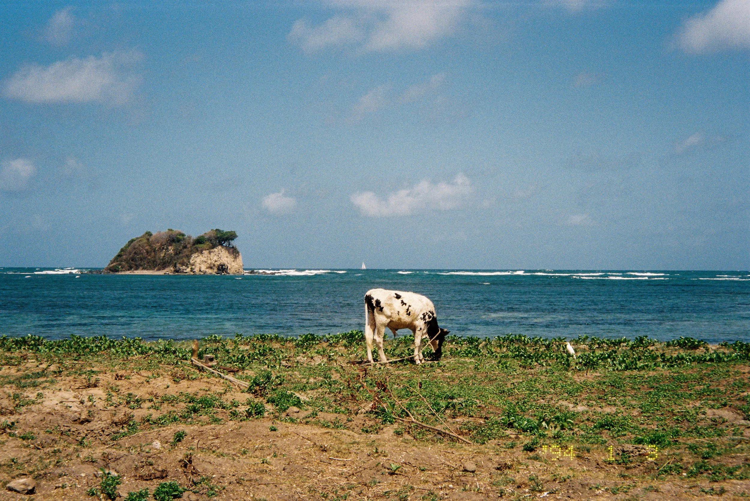 84224R4-R01-009.jpg