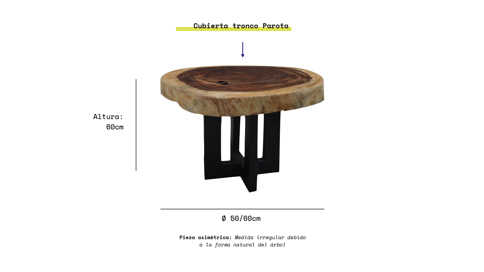 Fotos : Pagina Web.286.png