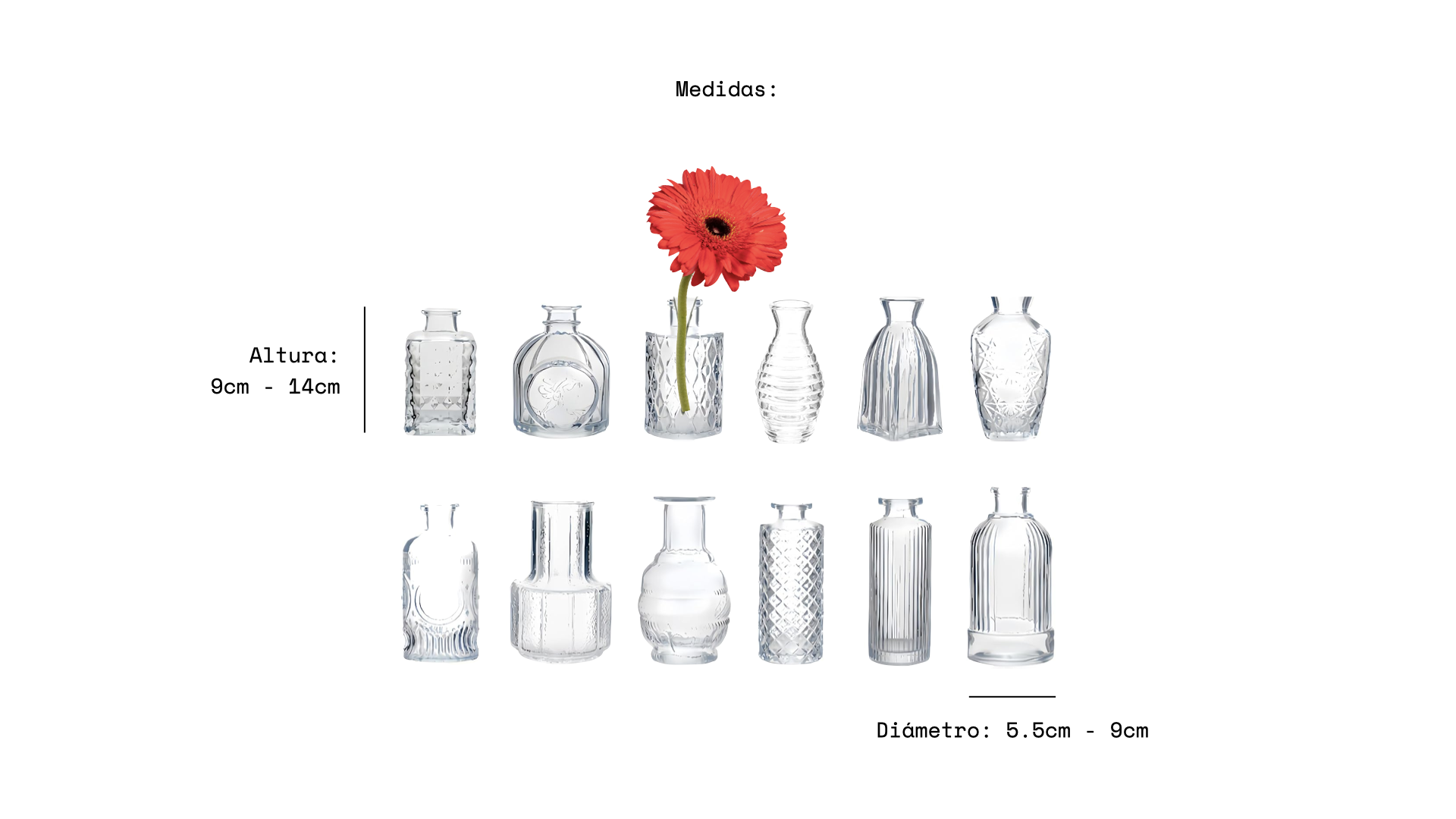 Fotos : Pagina Web.506.png