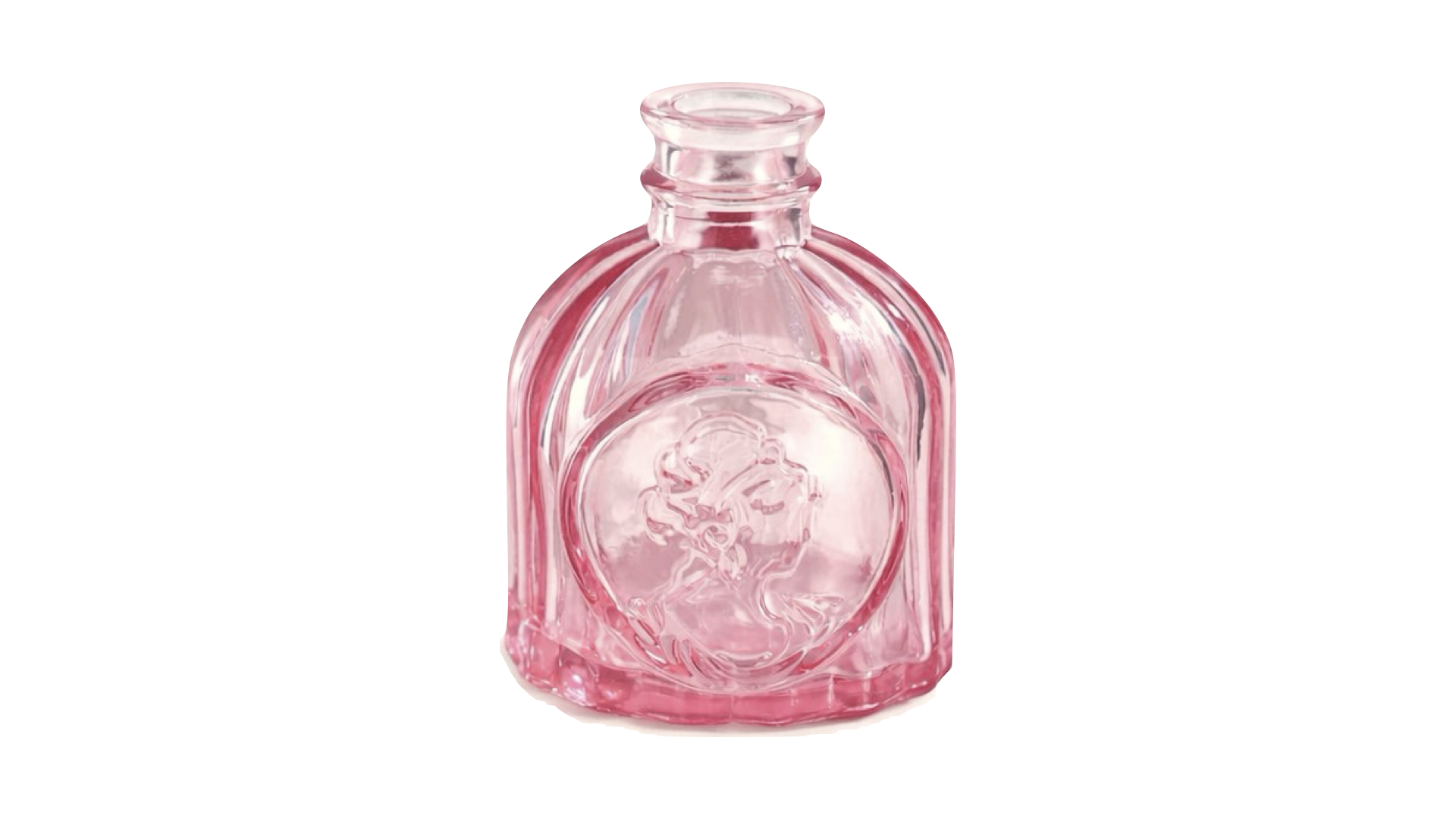 Fotos : Pagina Web.251.png (Copy)