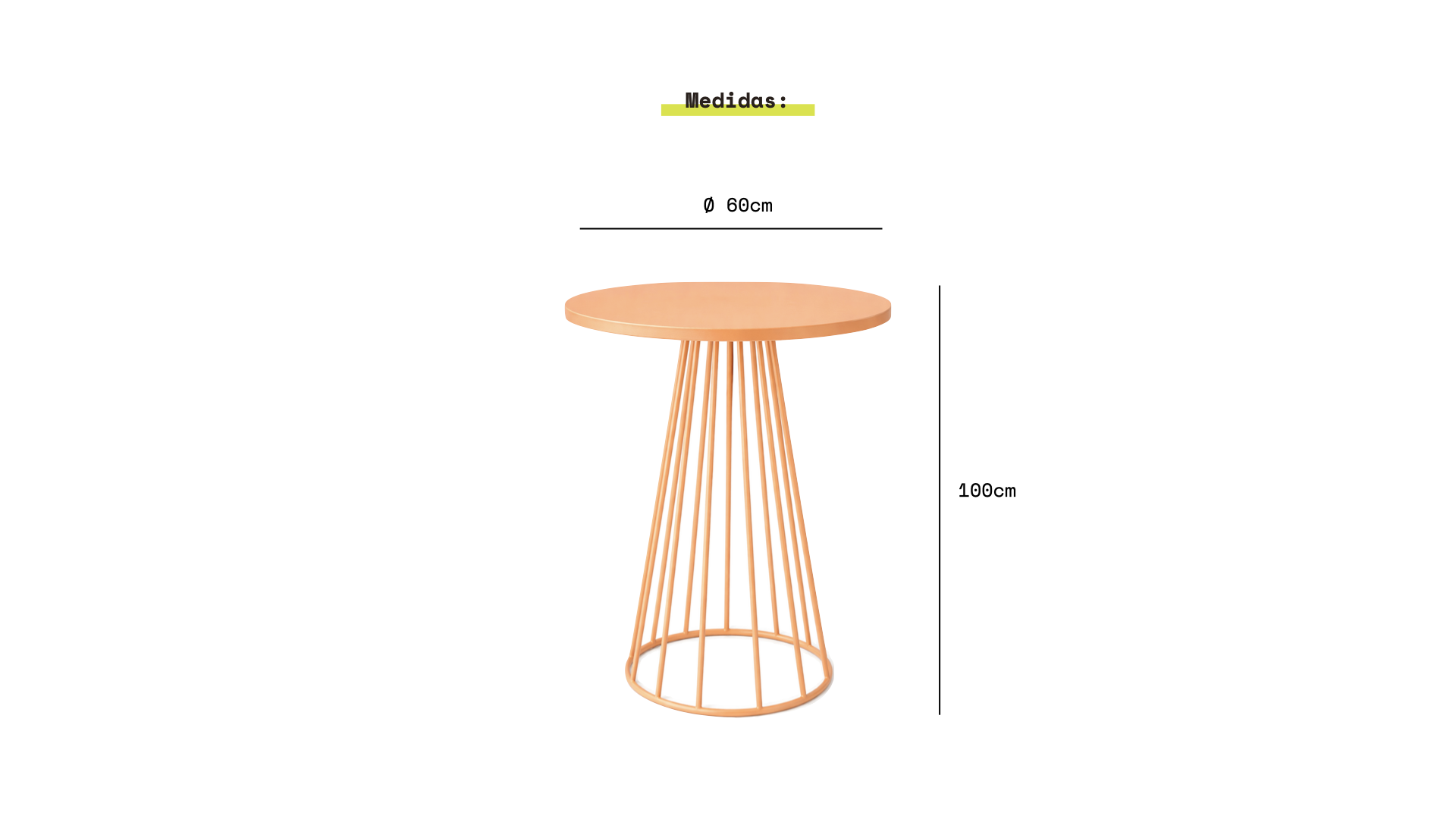 Fotos : Pagina Web.003.png