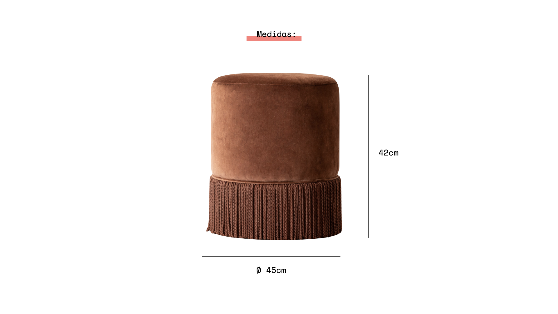 Fotos : Pagina Web.512.png