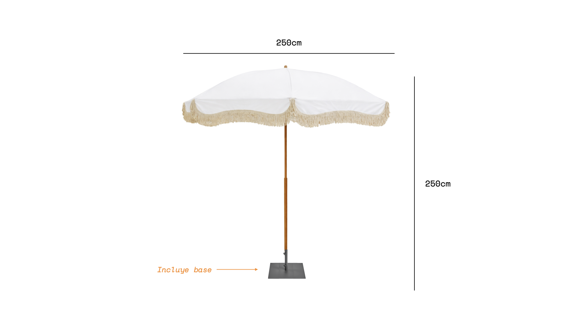 Fotos : Pagina Web.733.png