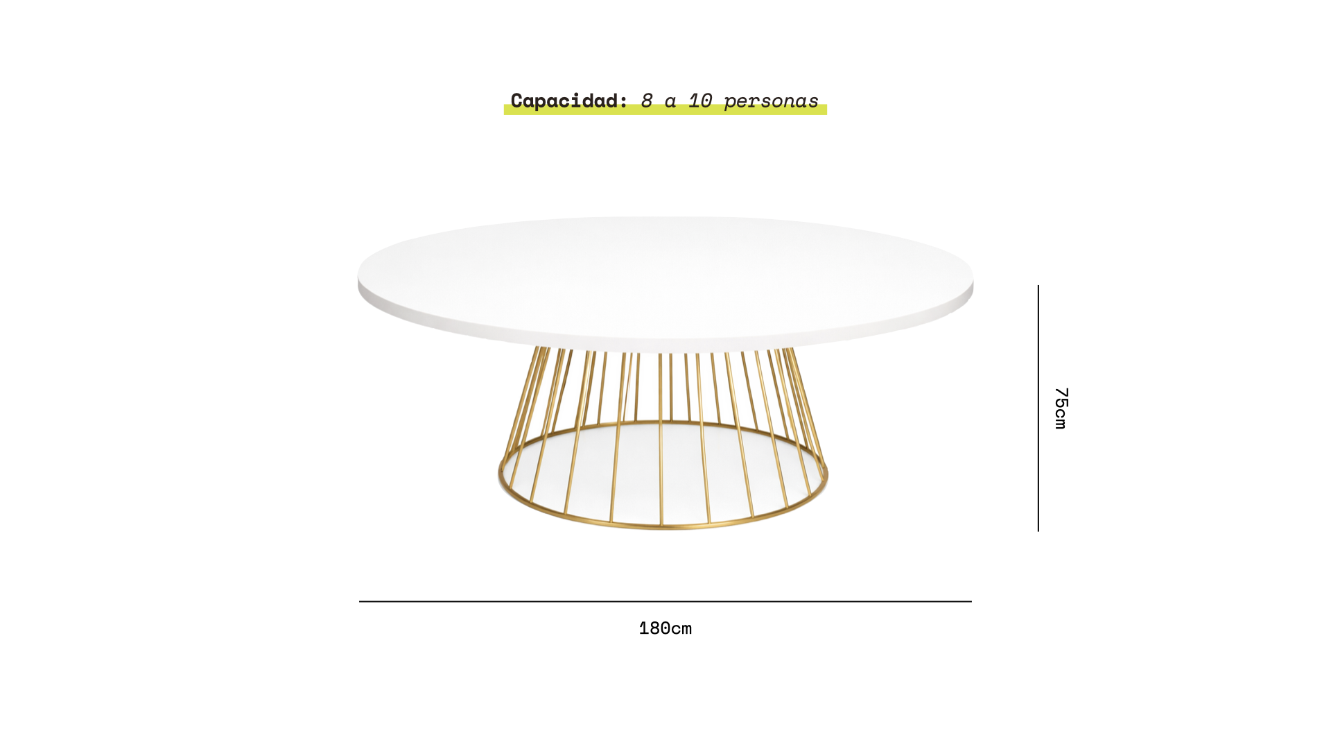 Fotos : Pagina Web.118.png