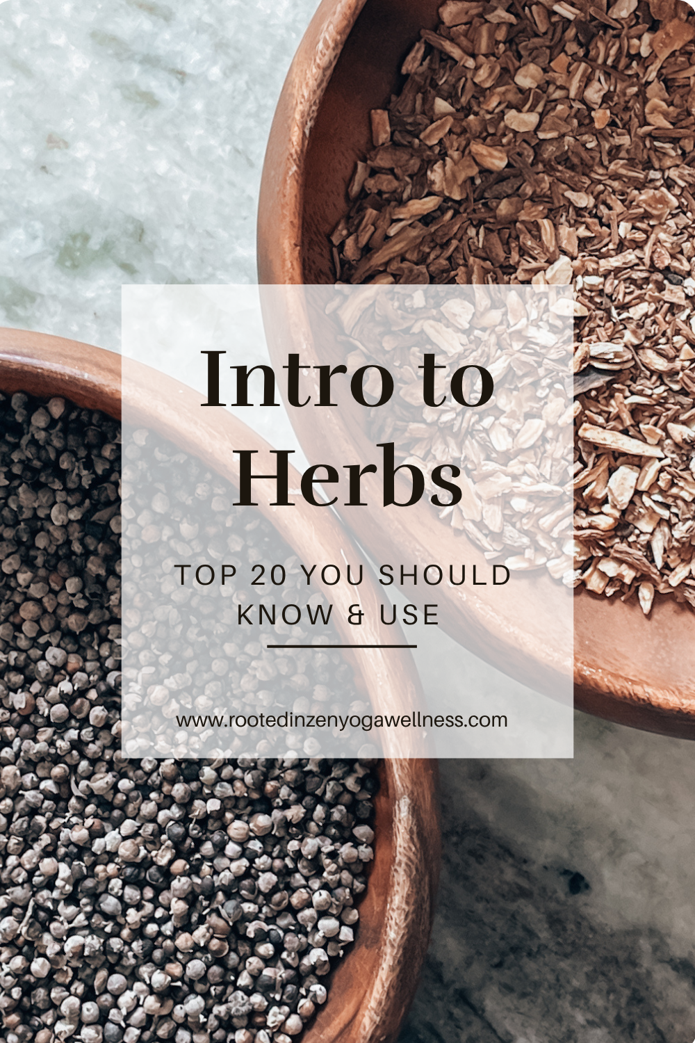 Intro to Herbs Guidebook.png