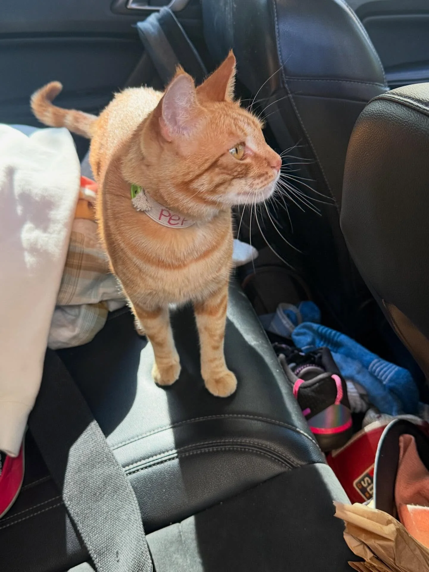 Almost had a stowaway. Fun times at Kaena yesterday. Sad times too sending @kailuakid off to Oregon&hellip;let&rsquo;s plan the boys trip to HI!!
