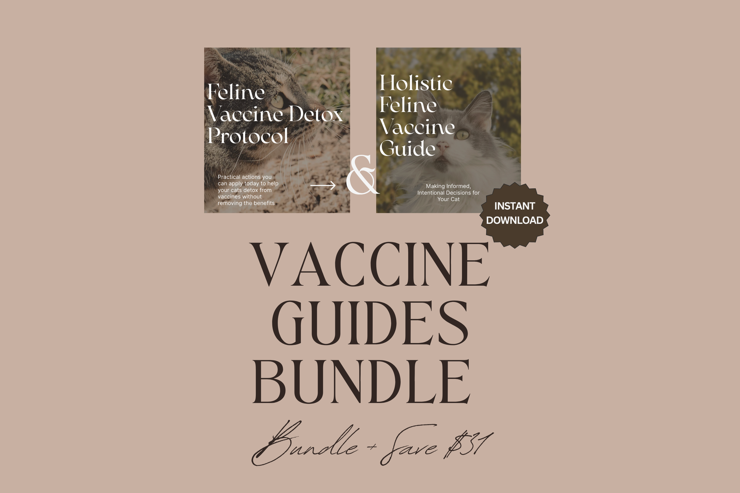 vax guide thumbnails  (11).png