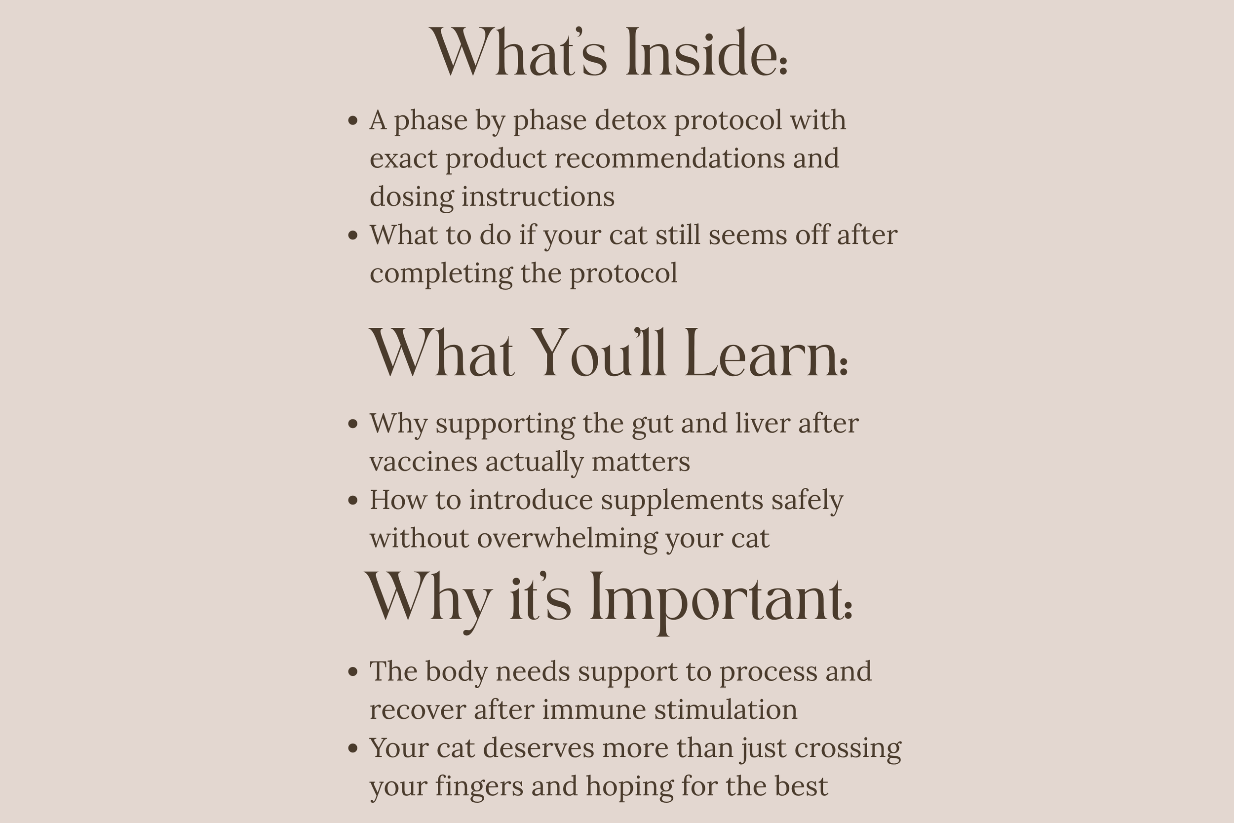 vax guide thumbnails  (8).png