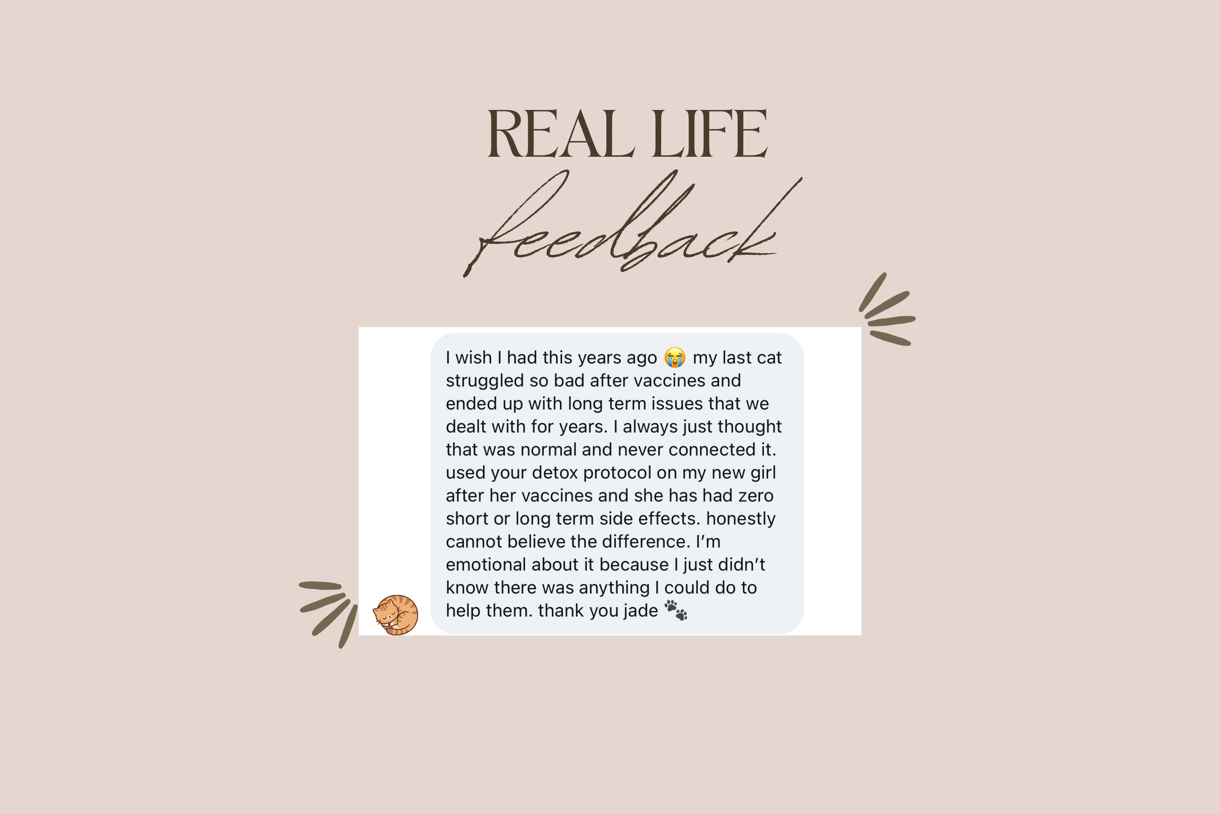 vax guide thumbnails  (7).png