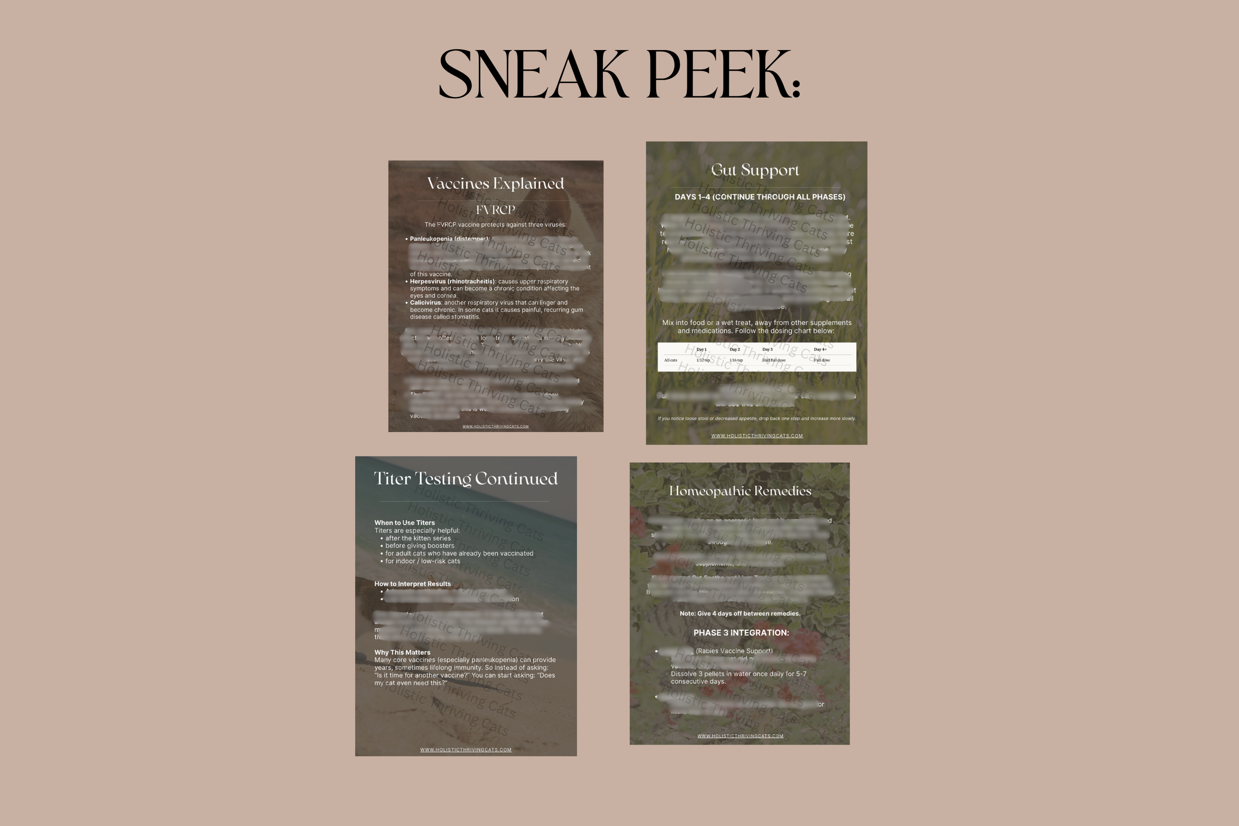 vax guide thumbnails  (14).png