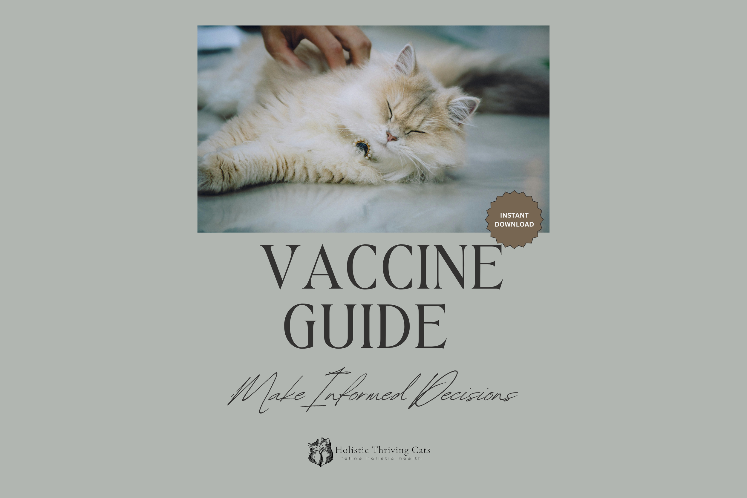 Holistic Vaccine Guide
