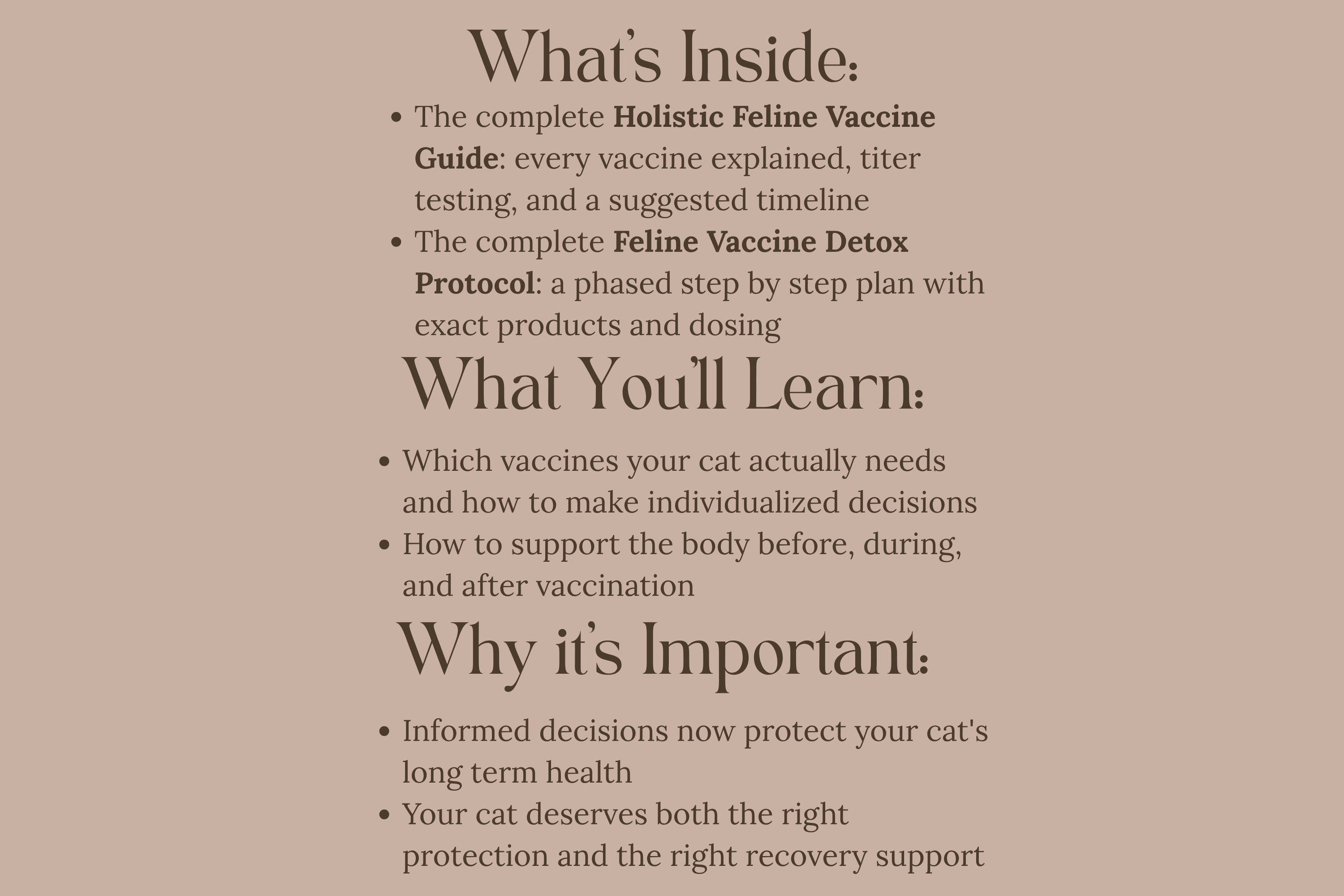 vax guide thumbnails  (13).png