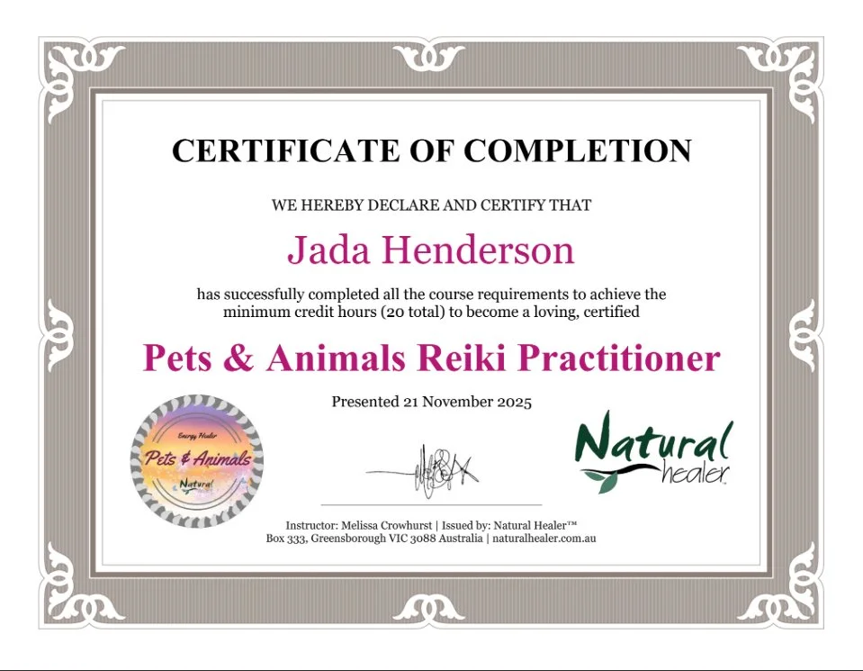 Certificate of completion awarded to Jada Henderson for Pets & Animals Reiki Practitioner training, dated November 21, 2025, with logos of Natural Healer and Pets & Animals.