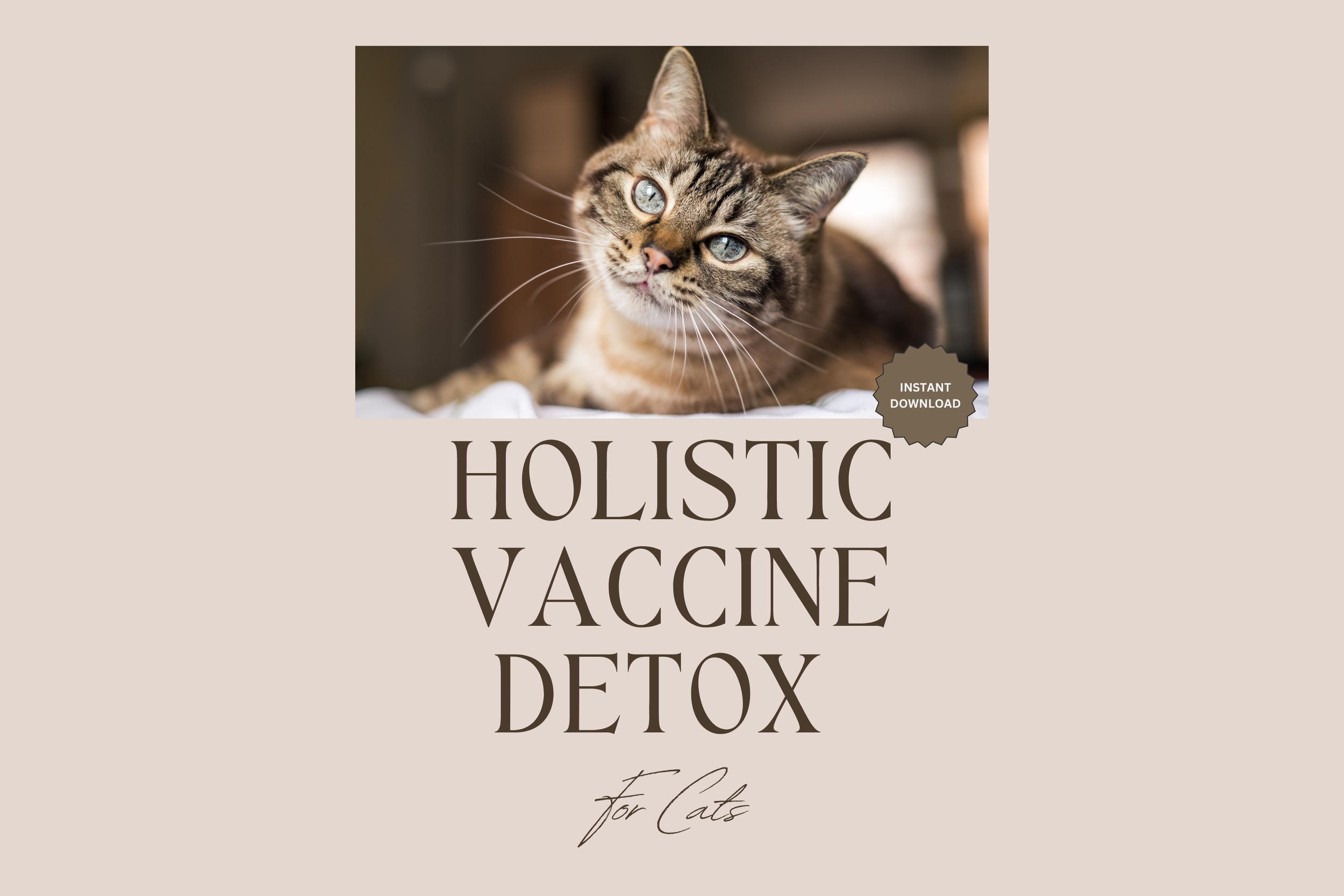 Holistic Vaccine Detox Protocol for Cats