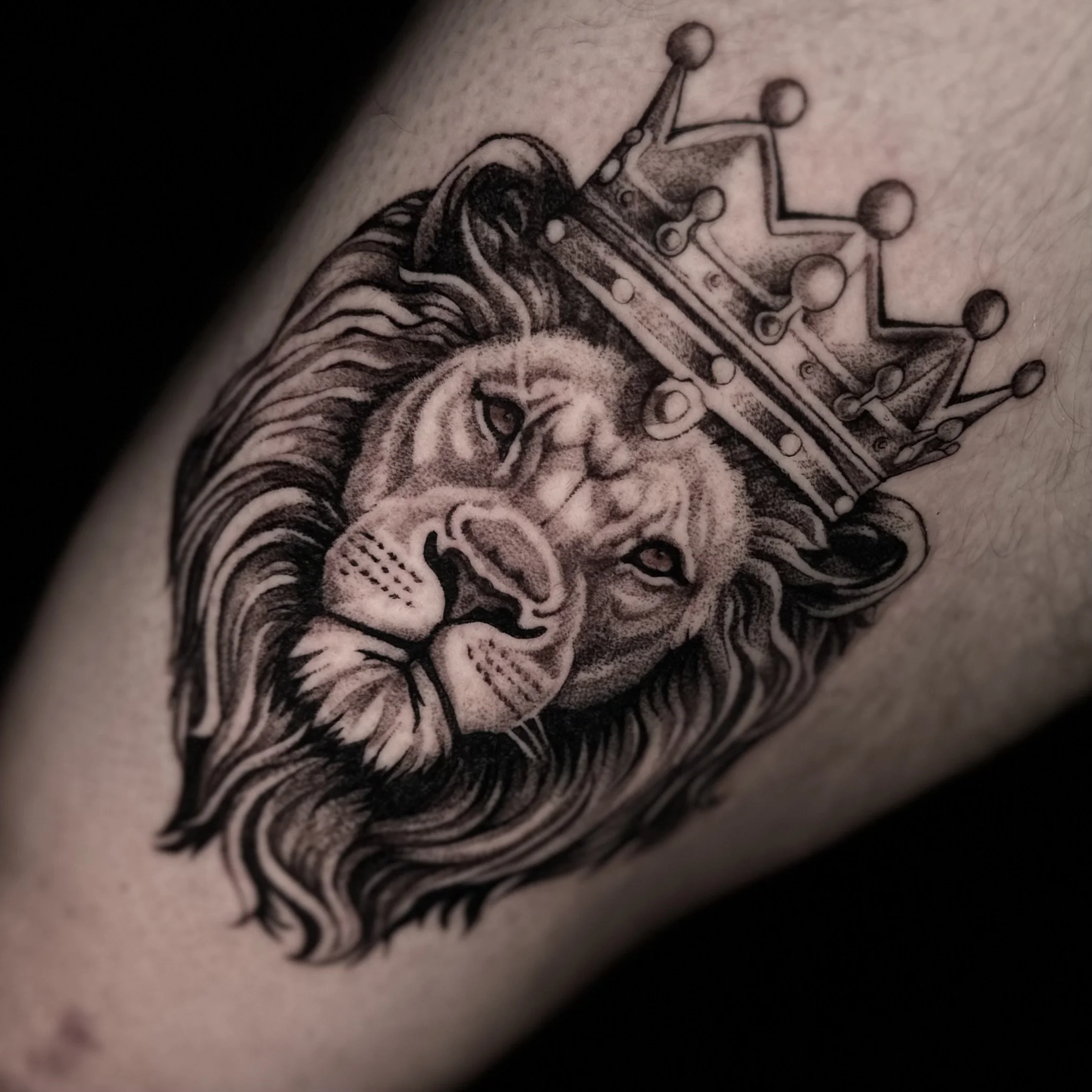 Black and gray tattoo of a lion wearing a crown on its head, with detailed mane and facial features.