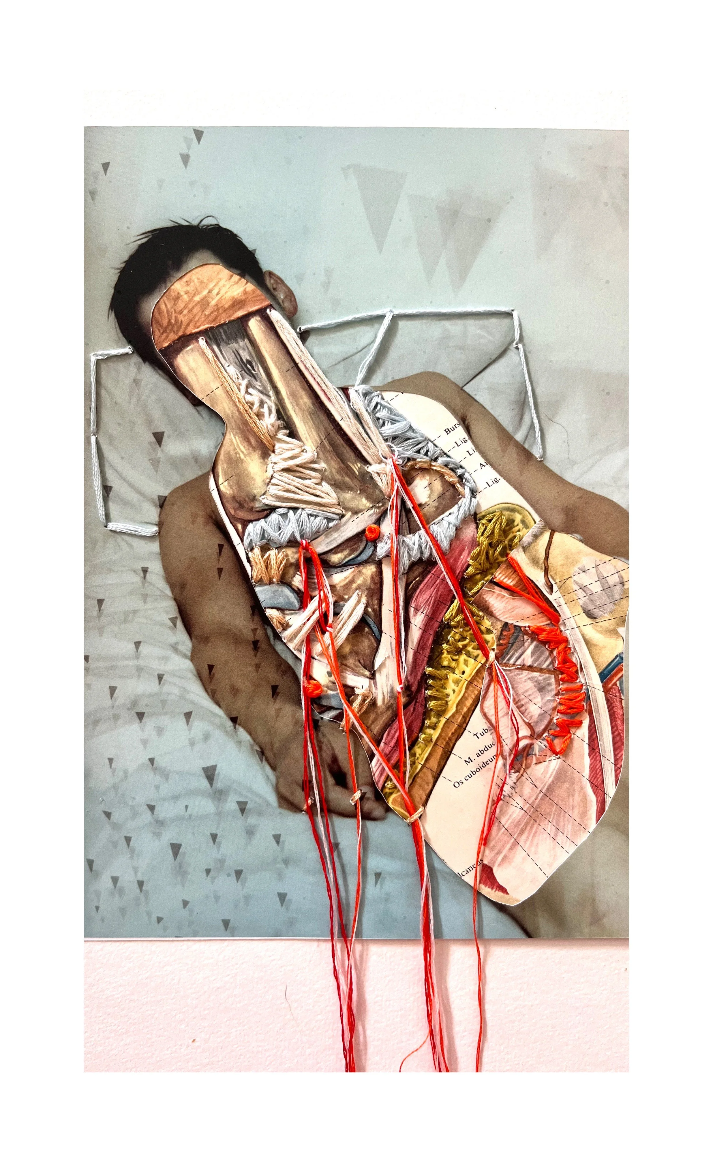 Work | Anatomy of an ex_2