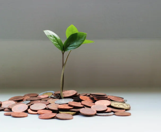 The Order of Operations for Online Growth