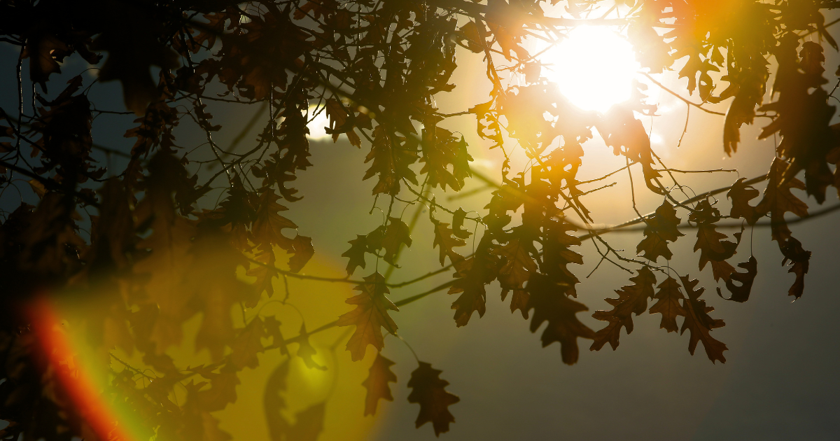 Golden Hour Refresh: How to Create Soft Rebrand Energy Without Starting From Zero