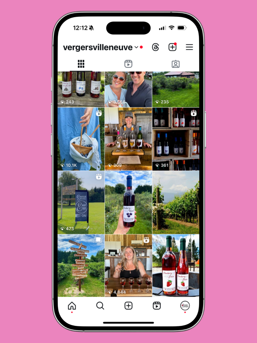 Les Vergers Villeneuve & Blueberry Farm