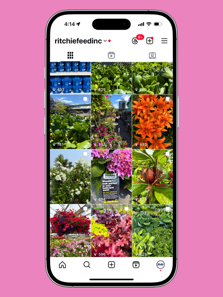 Ritchie Feed & Seed Inc.