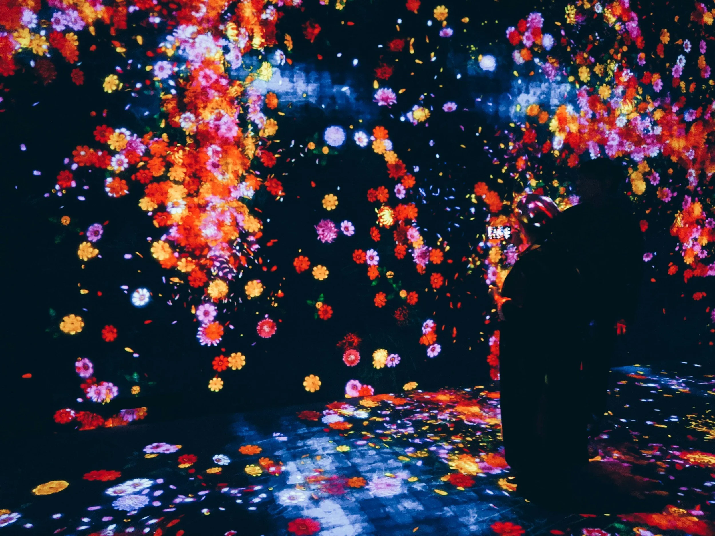 TeamLab Planets