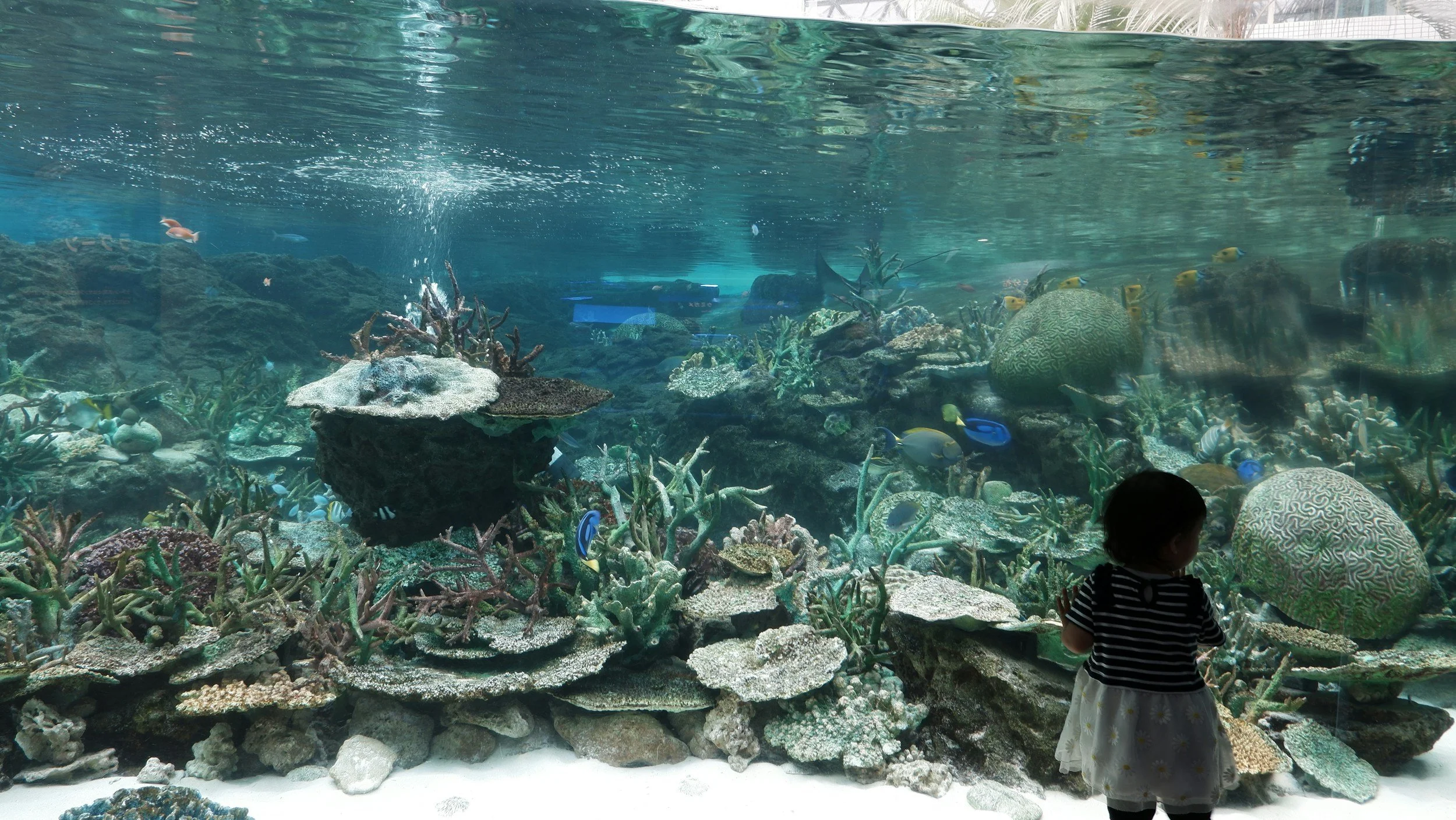 11 Day Family Journey