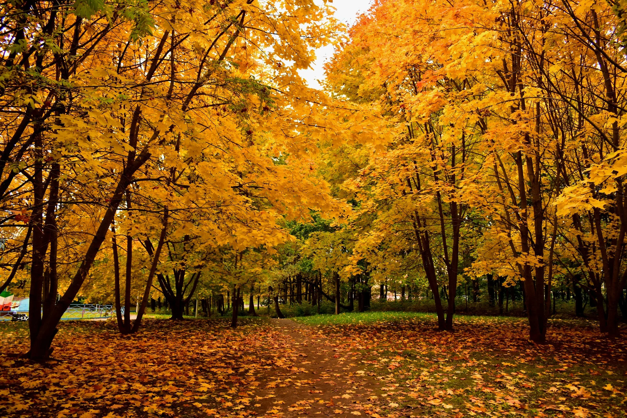 New England's Fall Foliage, a Women-Only Tour