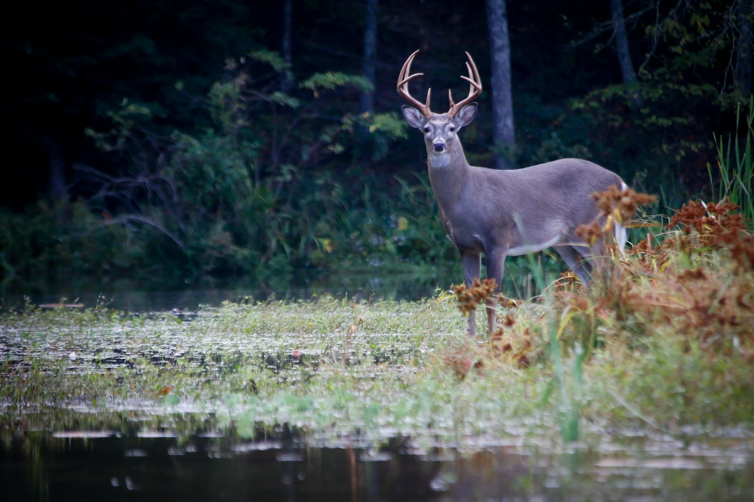 Treasures of Cape Cod & the Islands